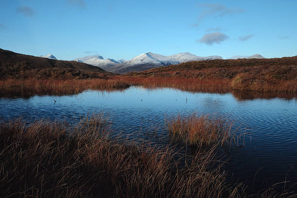 Peaceful mountain lake surrounded by autumn vegetation and distant snow-capped peaks in the Scottish Highlands. Calm water reflects the sky, creating a serene natural landscape.
