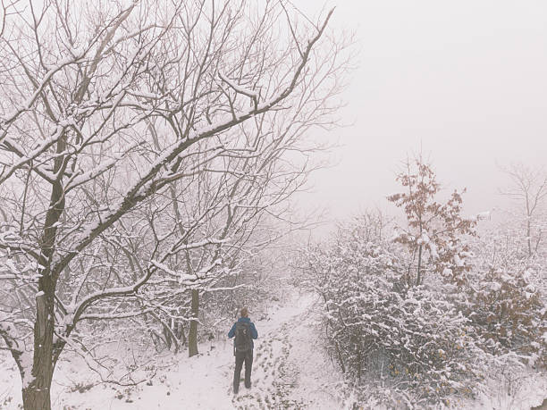 Man enjoy winter walk in nature in snowy fog mountain