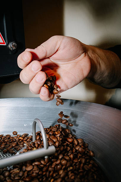 istock Hand Inspecting Roasted Coffee Beans in Roaster 2253743984