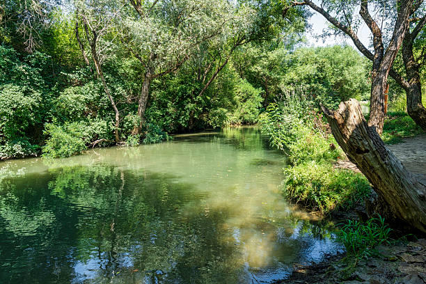 istock Shaded River Views in Rusenski Lom Nature Park 2253745148