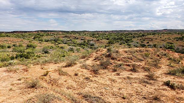 istock Caprock Canyons State Park & Trailway 2253745801