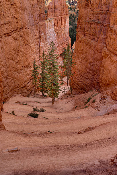 istock Navajo Loop Switchback, Bryce Canyon National Park, Utah, USA 2253752009