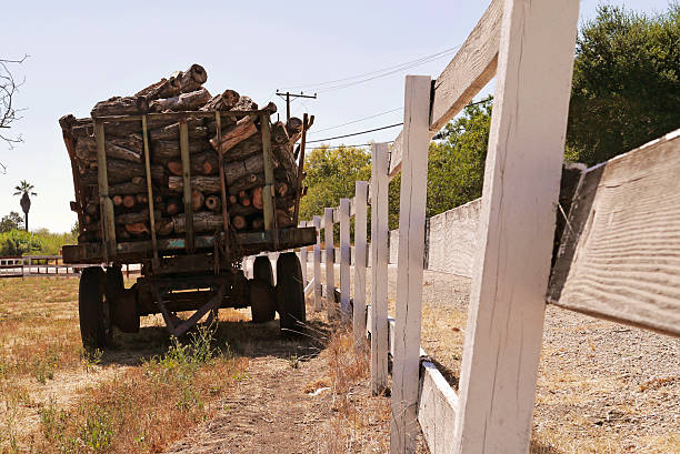 Parked near a white picket fence, this flatbed truck holds a winter's worth of heat, measured by the cord. Ojai, California 2014