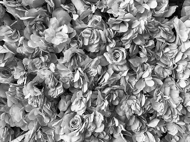 istock CA Vta Fabric Roses Abstract BW 2025 2253756201