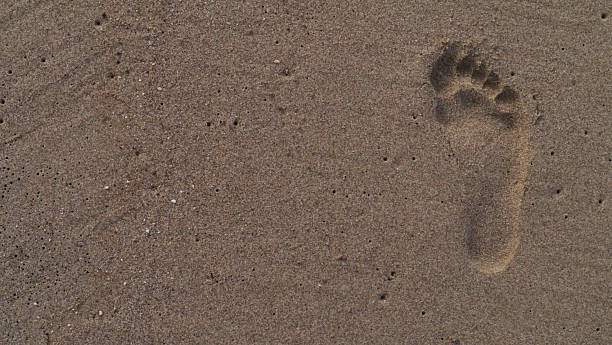 istock CA Vta Man's Footprint in Wet Beach Sand 2025 2253756206