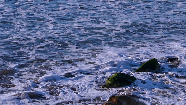 istock CA Vta Pacific Ocean Breaking Wave on Moss 2025 2253756214
