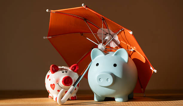 istock Two piggy banks under a miniature umbrella 2253757934
