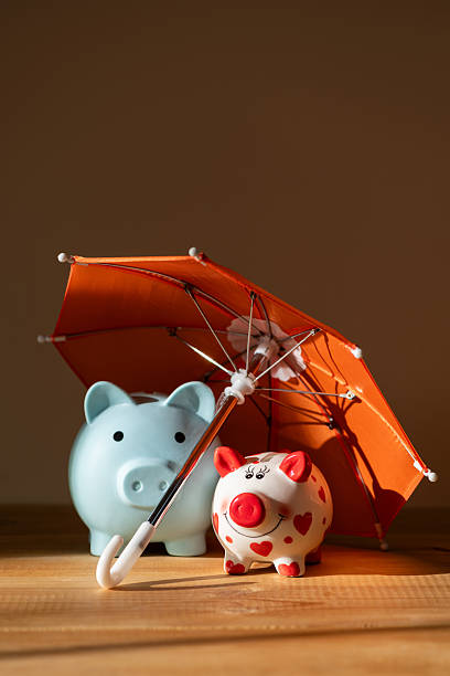 istock Two piggy banks under a miniature umbrella 2253757935