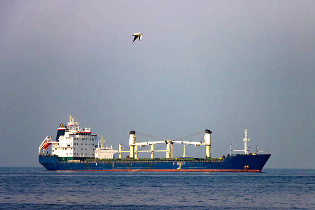 Blue cargo ship with cranes sailing under clear sky—framed by calm sea and flying bird in a serene maritime transport and global logistics scene.