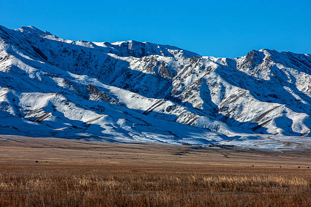 istock Mountains in Kazakhstan 2253763760