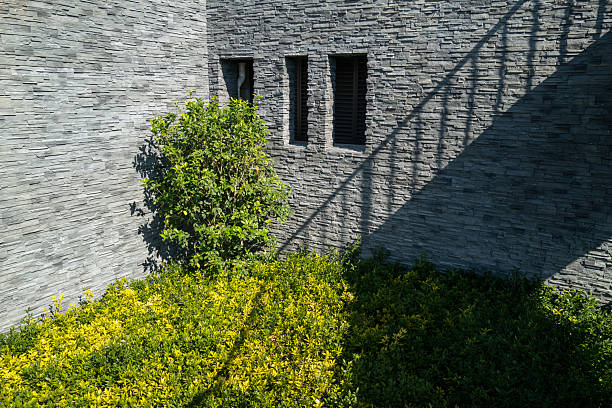 The ornamental tree in front of the stone wall