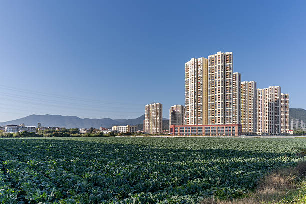istock Modern urban residential buildings in front of vegetable fields 2253769770