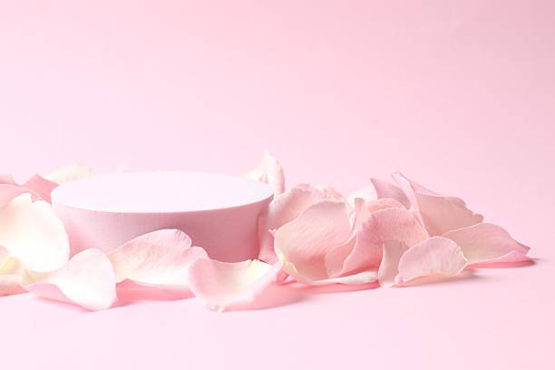 istock Pink rose petals with podium on a color background 2253770744
