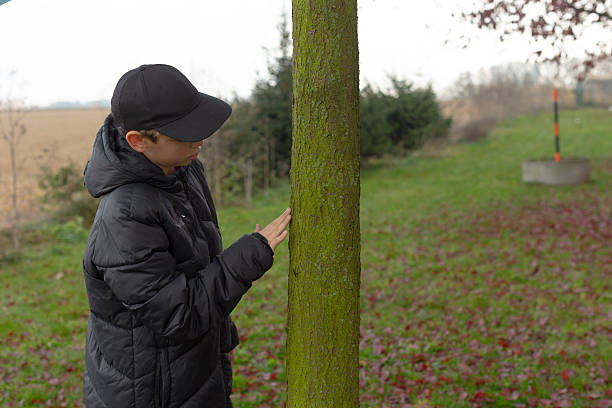 Cheerful little boy excitedly peering through a large hole in a rugged tree trunk. The textured bark frames his face like a playful window.\nShot with Nikon D850
