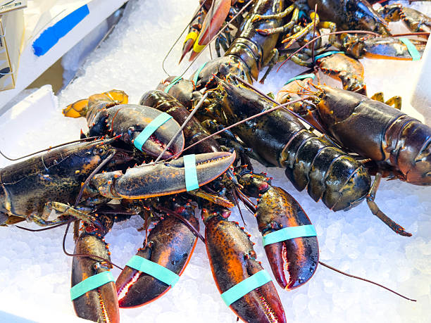istock Fresh live lobsters on ice display at seafood market 2253774551