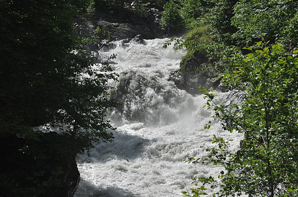 istock Rushing river flows through a lush forest landscape in summer sunshine near mountainous terrain 2253777806