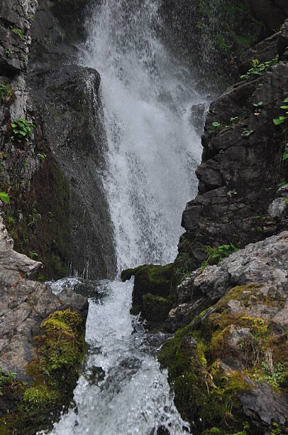 istock Water cascades down rocky cliffs surrounded by lush greenery in a serene natural setting 2253777879