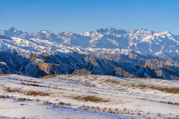 Dry grasslands and white snow on a sunny winter day