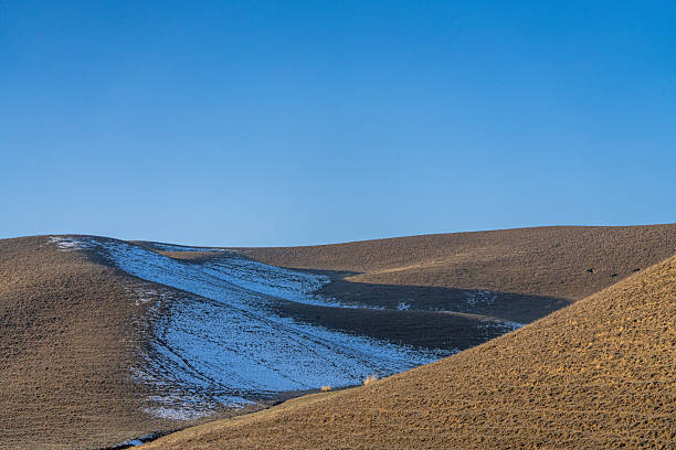 Dry grasslands and white snow on a sunny winter day
