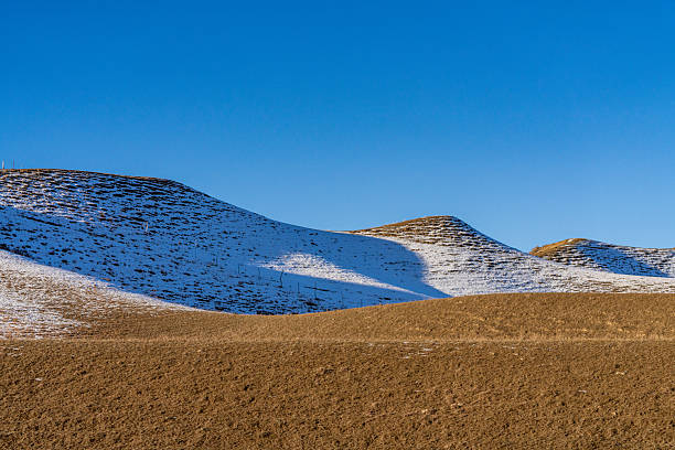 Dry grasslands and white snow on a sunny winter day