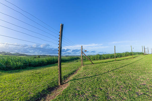 istock Farm Electrical Fence Landscape 2253779336