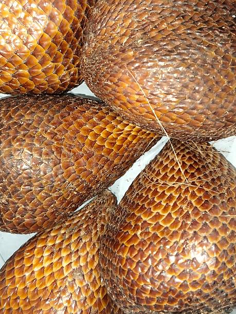 close up of snake fruit