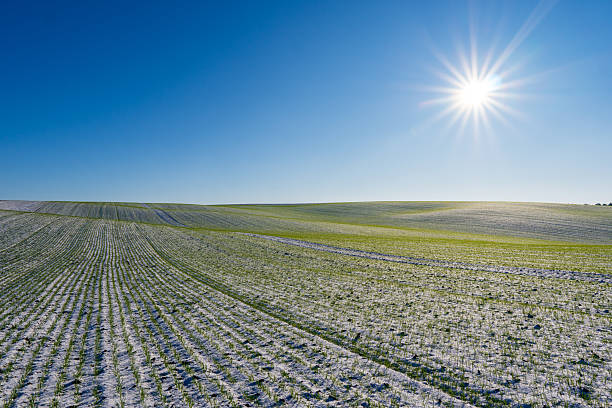 istock A field of snow covered grass with a bright sun shining on it 2253783534