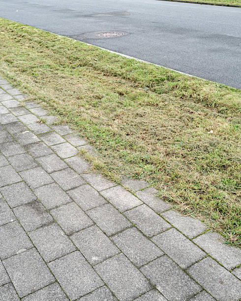 istock Grass being cut along a sidewalk beside a quiet street during a cloudy afternoon 2253786954