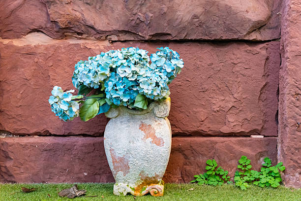 Bright blue hydrangeas burst from an aged vase, accentuating the rough texture of a rustic stone wall. Verdant leaves peek out, adding life to the serene outdoor scene.