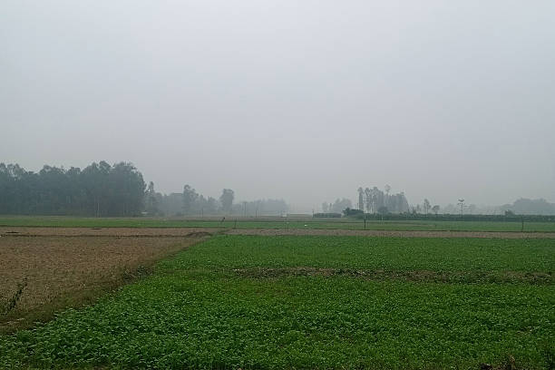 istock Open countryside farmland under light haze 2253791430