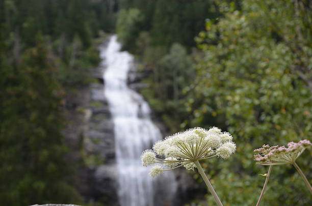 Photo of amazing Staniskabach waterfalls (Schleierfall, Haslacherfall) in Kals am Grossglockner, Austria