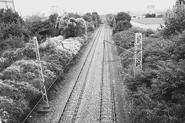 Minnesota Railroad tracks. Still used today.