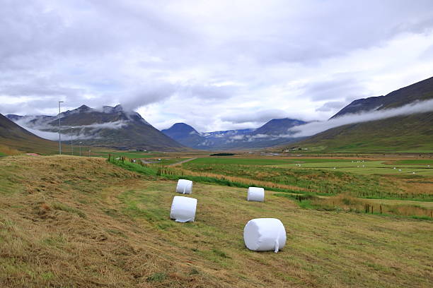 around the small village Holar, Iceland on a cloudy day