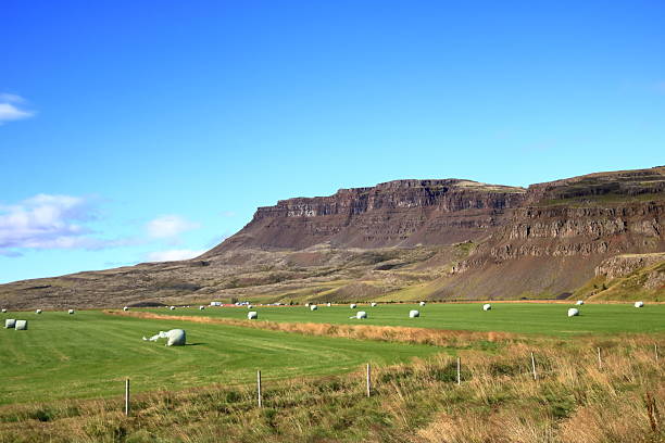 istock landscape at the Snaefellsnes peninsula in Iceland 2253797635