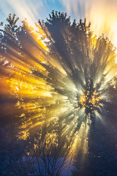 Fiery Autumn sunrise through fog and trees, creates a real, yet surreal dreamscape of immense beauty and color.
