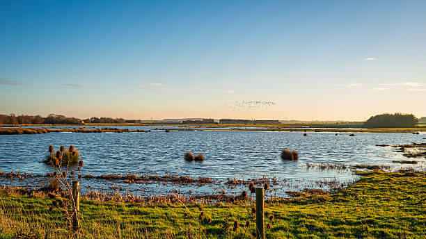 istock Druridge Pools Nature Reserve looking south 2253802421