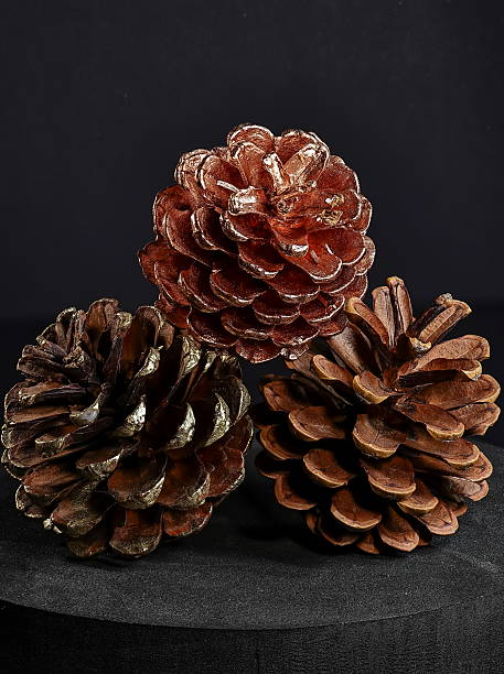 istock Pine cones for decorating the Christmas tree 2253807615