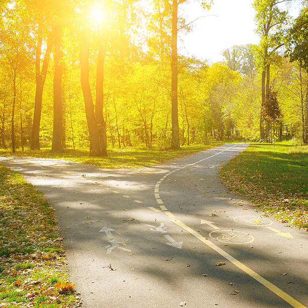 A bright sunlit park features a fork in an asphalt path with bike and pedestrian markings. This peaceful autumn scene represents choice and a healthy lifestyle with ample copy space.