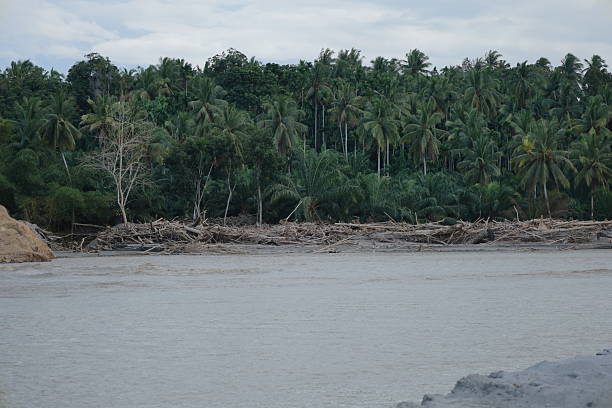 istock Riverbank Covered With Debris After Flash Flood in Bireuen, Aceh 2253811644