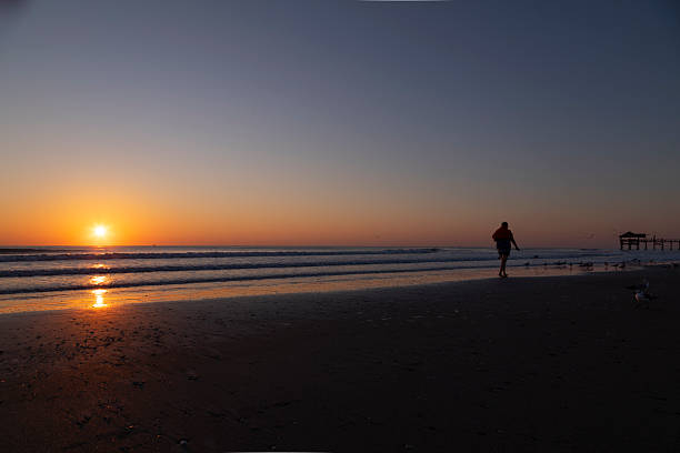 A tranquil sunrise unfolds over the Atlantic Ocean at Cocoa Beach, Florida, as the sun rises just above the horizon, casting warm golden and orange tones across the sky and reflecting on the wet sand. A line of seagulls stands quietly along the shoreline, their silhouettes mirrored on the reflective beach surface while gentle waves roll in behind them.
