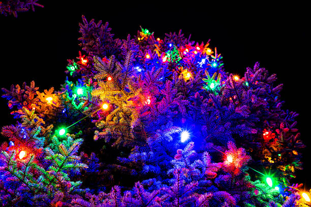 Bright, colorful lights on outdoor evergreen trees with selective focus. Vivid colorful outdoor holiday lighting.