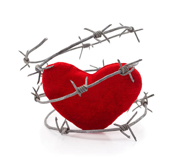 istock Red plush heart wrapped in metal barbed wire on a white background. 2253814807