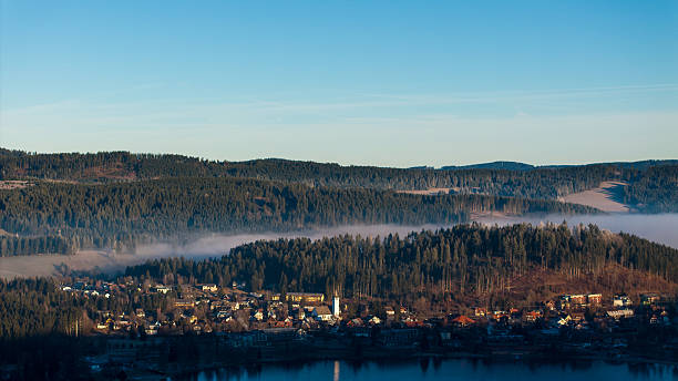 The village Titisee in front of Black Forest fir trees.