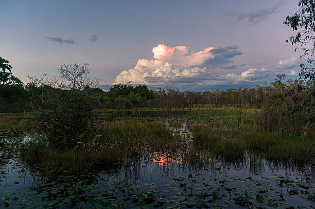 istock Loop Road Scenic Drive under a beautiful sunset sky, Everglades, Florida 2253820630