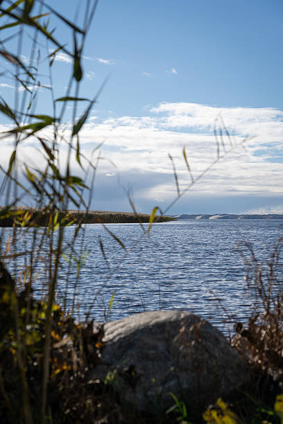 istock Serene lake landscape with rocks and reeds under blue sky 2253823606