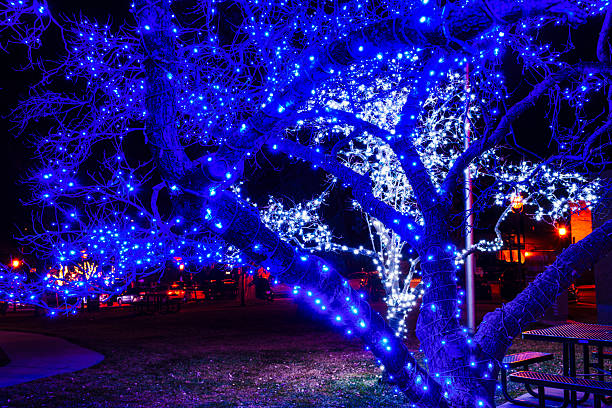 istock Christmas Holiday Lighting in Outdoor Tree 2253824908
