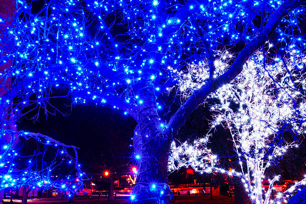 Bright blue and white lights covering small tree branches in outdoor urban setting.