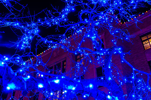 Bright blue and white lights covering small tree branches in outdoor urban setting.