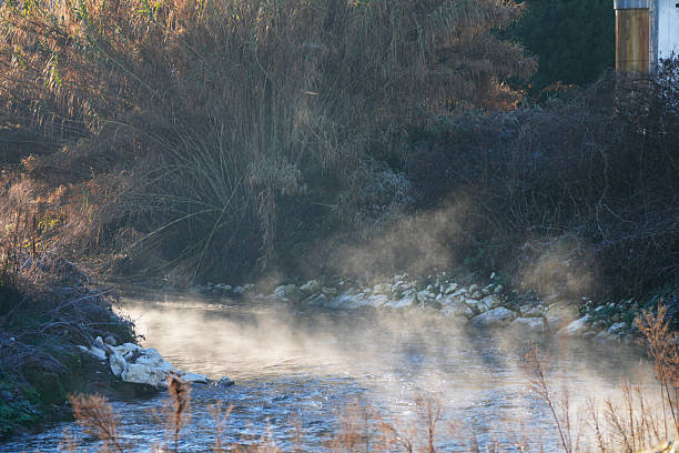 Small river with visible steam rising from the water on a cold morning, surrounded by natural vegetation and reeds. Atmospheric outdoor scene captured in soft natural light, suitable for concepts of climate, temperature contrast, environment, water resources, seasonal change, and tranquility.