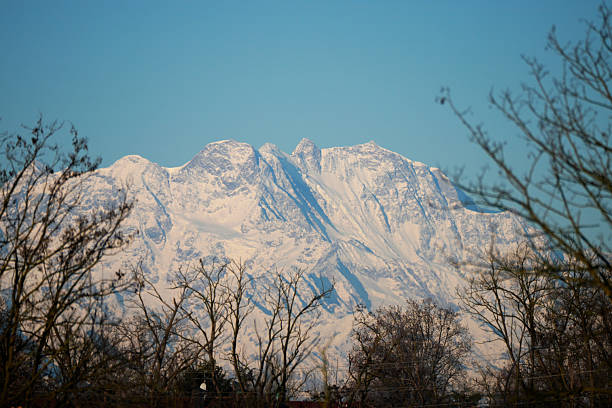 Snow-covered Monte Rosa mountain range rising above bare trees under a clear blue sky in the Italian Alps. Iconic alpine landscape representing winter, majesty, wilderness, natural beauty, and the grandeur of high mountain environments.